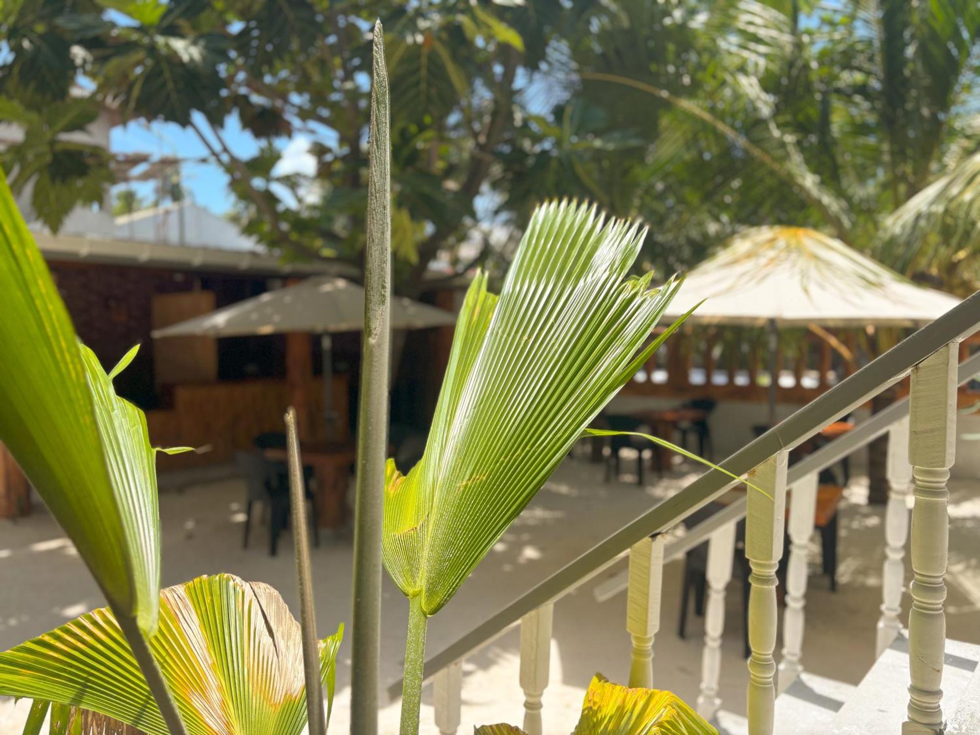 Mathiveri Thundi Inn ภายนอก รูปภาพ